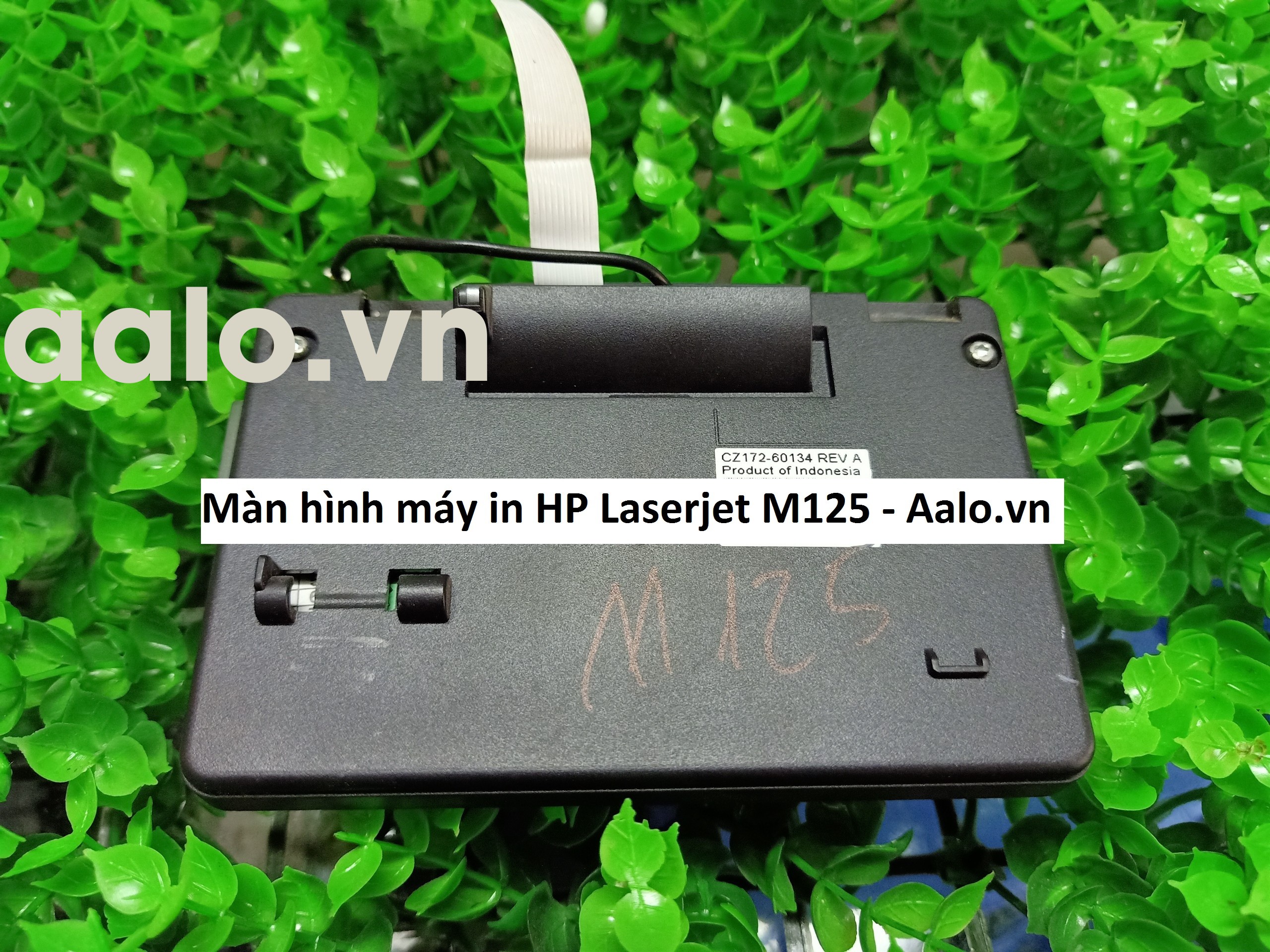 Màn hình máy in HP Laserjet M125